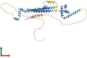 Protein Structure (PS) image for Pre-B-Cell Leukemia Transcription Factor 3 (PBX3) (AA 1-434) protein (His tag) (ABIN7562301)