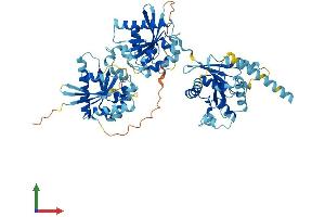 Protein Structure (PS) image for GTPase, IMAP Family Member 8 (GIMAP8) (AA 1-665) protein (His tag) (ABIN7547978)
