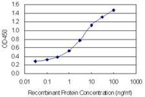 Detection limit for recombinant GST tagged NHS is 0. (Nhs 抗体  (AA 1532-1629))