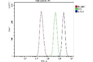 Flow Cytometry analysis of MCF-7 cells using anti-EHD3 antibody (ABIN7602777). (EHD3 抗体  (C-Term))