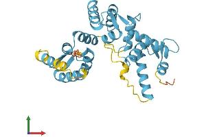 Protein Structure (PS) image for Secretagogin, EF-Hand Calcium Binding Protein (SCGN) (AA 1-276) protein (His tag) (ABIN7560031)
