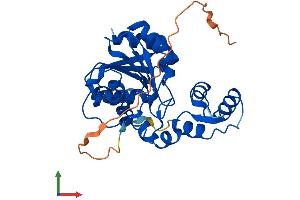Protein Structure (PS) image for Abhydrolase Domain Containing 11 (ABHD11) (AA 1-307) protein (His tag) (ABIN7559569)