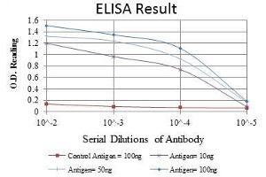 Red: Control Antigen (100 ng), Purple: Antigen (10 ng), Green: Antigen (50 ng), Blue: Antigen (100 ng), (PAX4 抗体)