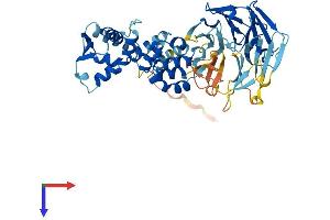 AlphaFold protein structure predicition of Human Recombinant KBTBD4 Protein, UniprotID Q9NVX7