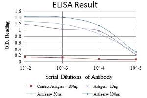 Red: Control Antigen (100 ng), Purple: Antigen (10 ng), Green: Antigen (50 ng), Blue: Antigen (100 ng), (PRKAA1 抗体)