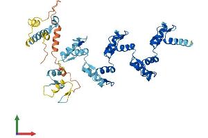 Protein Structure (PS) image for Zinc Finger Protein 25 (ZNF25) (AA 1-456) protein (His tag) (ABIN7545700)