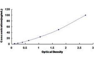 Typical standard curve (NAT1 ELISA 试剂盒)