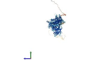 Protein Structure (PS) image for Unc-13 Homolog D (UNC13D) (AA 1-1090) protein (His tag) (ABIN7555967)
