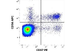 Flow Cytometry (FACS) image for anti-beta-1,3-Glucuronyltransferase 1 (Glucuronosyltransferase P) (B3GAT1) antibody (PE) (ABIN5665755)