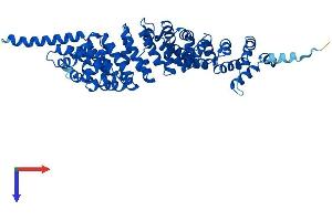 Protein Structure (PS) image for Sperm Associated Antigen 6 (SPAG6) (AA 1-509) protein (His tag) (ABIN7546152)