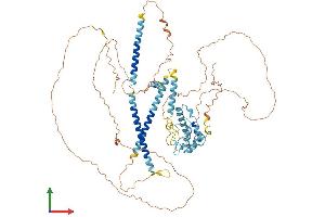 Protein Structure (PS) image for Pre-B-Cell Leukemia Homeobox Interacting Protein 1 (PBXIP1) (AA 1-731) protein (His tag) (ABIN7554893)