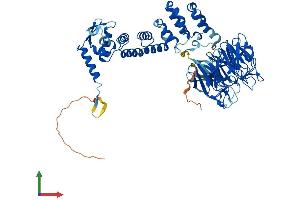 Protein Structure (PS) image for Kelch-Like 6 (KLHL6) (AA 1-619) protein (His tag) (ABIN7558116)