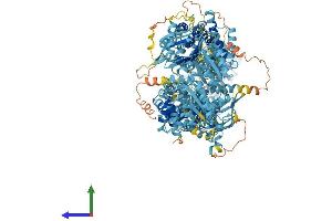 Protein Structure (PS) image for ATP-Binding Cassette, Sub-Family A (ABC1), Member 5 (ABCA5) (AA 1-1642) protein (His tag) (ABIN7564668)