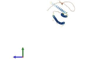 AlphaFold protein structure predicition of Mouse Recombinant Krt13 Protein, UniprotID P08730