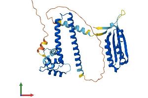 Protein Structure (PS) image for N-terminal EF-Hand Calcium Binding Protein 1 (NECAB1) (AA 1-351) protein (His tag) (ABIN7549825)