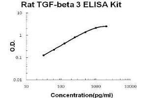 Rat TGF-beta 3 PicoKine ELISA Kit standard curve (TGFB3 ELISA 试剂盒)