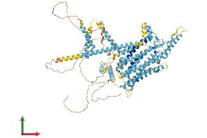 AlphaFold protein structure predicition of Mouse Recombinant Tmc2 Protein, UniprotID Q8R4P4