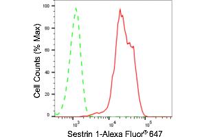 Flow cytometric analysis of Sestrin 1 expression in HeLa cells using Sestrin 1 antibody (ABIN7800321), 1:2,000). (Recombinant SESN1 抗体)