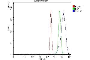 Flow Cytometry analysis of MCF-7 cells using anti-TIMM29 antibody (ABIN7601495). (TIMM29 抗体  (AA 37-260))