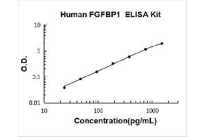 Fibroblast Growth Factor Binding Protein 1 (FGFBP1) ELISA Kit