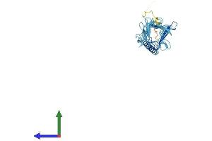 AlphaFold protein structure predicition of Mouse Recombinant Sgcg Protein, UniprotID P82348