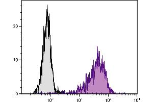 TNFα stimulated human endothelial cell line HUV-EC-C was stained with Mouse Anti-Human CD106-PE. (VCAM1 抗体  (Biotin))