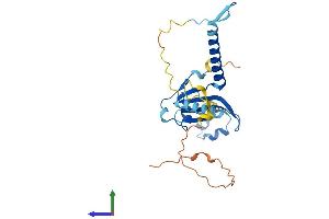 Protein Structure (PS) image for Mediator Complex Subunit 6 (MED6) (AA 1-246) protein (His tag) (ABIN7549302)
