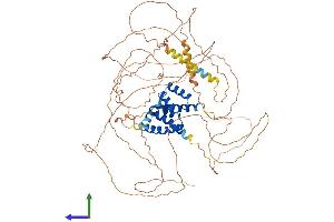 Protein Structure (PS) image for POU Domain, Class 2, Transcription Factor 1 (POU2F1) (AA 1-743) protein (His tag) (ABIN7555036)