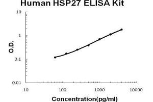 Human HSP27 PicoKine ELISA Kit standard curve (HSP27 ELISA 试剂盒)