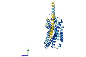 Protein Structure (PS) image for G Protein-Coupled Receptor 65 (GPR65) (AA 1-337) protein (His tag) (ABIN7551055)