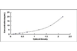Typical standard curve (PCSK2 ELISA 试剂盒)