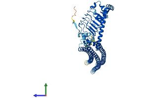 Protein Structure (PS) image for EPS8-Like 1 (EPS8L1) (AA 1-523) protein (His tag) (ABIN7561012)