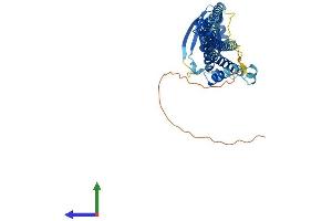 Protein Structure (PS) image for Protein Interacting With Protein Kinase C, alpha 1 (PICK1) (AA 1-416) protein (His tag) (ABIN7563941)