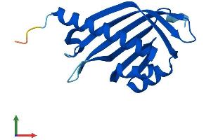 Protein Structure (PS) image for Nuclear Transport Factor 2-Like Export Factor 2 (NXT2) (AA 1-142) protein (His tag) (ABIN7557241)