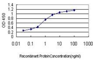 Detection limit for recombinant GST tagged EFNA5 is approximately 0. (Ephrin A5 抗体  (AA 114-203))