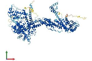 AlphaFold protein structure predicition of Human Recombinant CYFIP1 Protein, UniprotID Q7L576