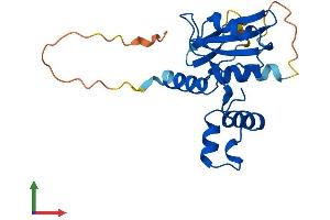 Protein Structure (PS) image for Suppressor of Cytokine Signaling 2 (SOCS2) (AA 1-198) protein (His tag) (ABIN7546111)