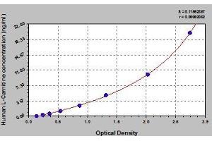Typical standard curve (L-Carnitine ELISA 试剂盒)