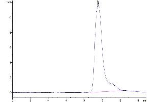 Size-exclusion chromatography-High Pressure Liquid Chromatography (SEC-HPLC) image for Fc Fragment of IgG, Low Affinity IIb, Receptor (CD32) (FCGR2B) (AA 40-217) protein (His tag) (ABIN7274290)