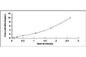 Typical standard curve (MFN2 ELISA 试剂盒)