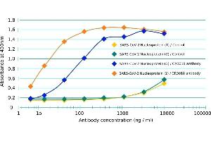 Binding curve of anti-SARS-Cov-2 (COVID-19) & SARS-CoV Nucleoprotein antibody CR3018 (03-018) to different SARS-CoV-2 Nucleoproteins. (Recombinant SARS-CoV-2 Nucleocapsid 抗体)