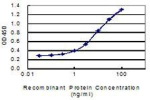 Detection limit for recombinant GST tagged HNF4A is 0. (HNF4A 抗体  (AA 324-423))