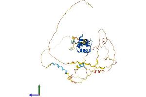 AlphaFold protein structure predicition of Human Recombinant FOXB2 Protein, UniprotID Q5VYV0