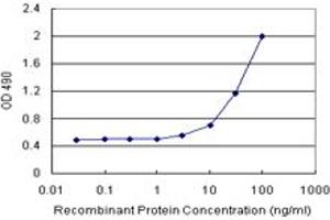 Sandwich ELISA detection sensitivity ranging from 3 ng/mL to 100 ng/mL.
