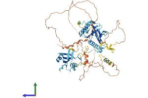 Protein Structure (PS) image for SHC (Src Homology 2 Domain Containing) Transforming Protein 2 (SHC2) (AA 1-573) protein (His tag) (ABIN7558760)