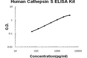 Human Cathepsin S Accusignal ELISA Kit Human Cathepsin S AccuSignal ELISA Kit standard curve. (Cathepsin S ELISA 试剂盒)