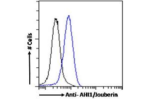 ABIN185303 Flow cytometric analysis of paraformaldehyde fixed HeLa cells (blue line), permeabilized with 0. (AHI1 抗体  (N-Term))