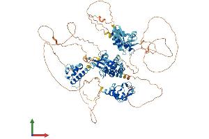 Protein Structure (PS) image for General Transcription Factor II I Repeat Domain-Containing 1 (GTF2IRD1) (AA 1-959) protein (His tag) (ABIN7554073)