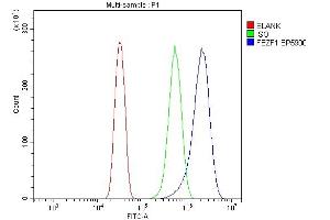 Flow Cytometry analysis of U20S cells using anti-FEZF1 antibody (ABIN7601763).