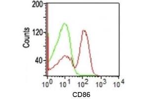 Flow cytometry testing of human PBMC using CD86 antibody (C86/1146). (CD86 抗体)